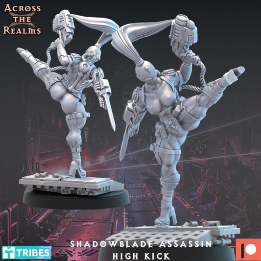 Shadowblade Assassin - High Kick by Across the Realms