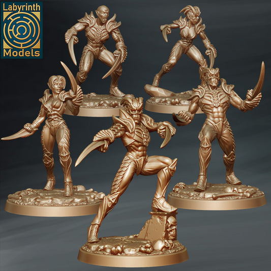 5 Sanguine Hunters Labyrinth Models