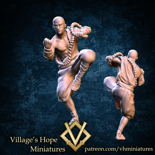Fighter Monk by Village's Hope Miniatures