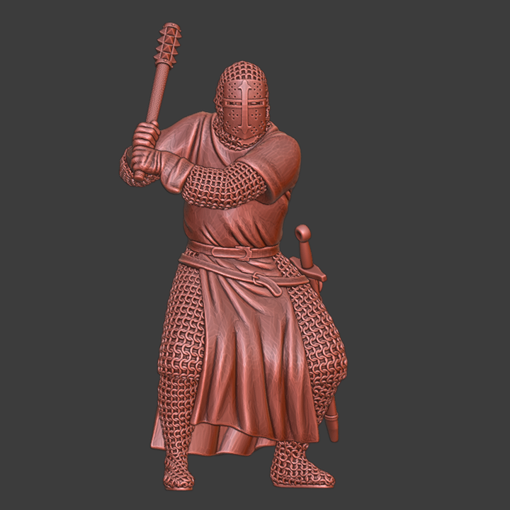 Saint Lazarus Order knight in combat.