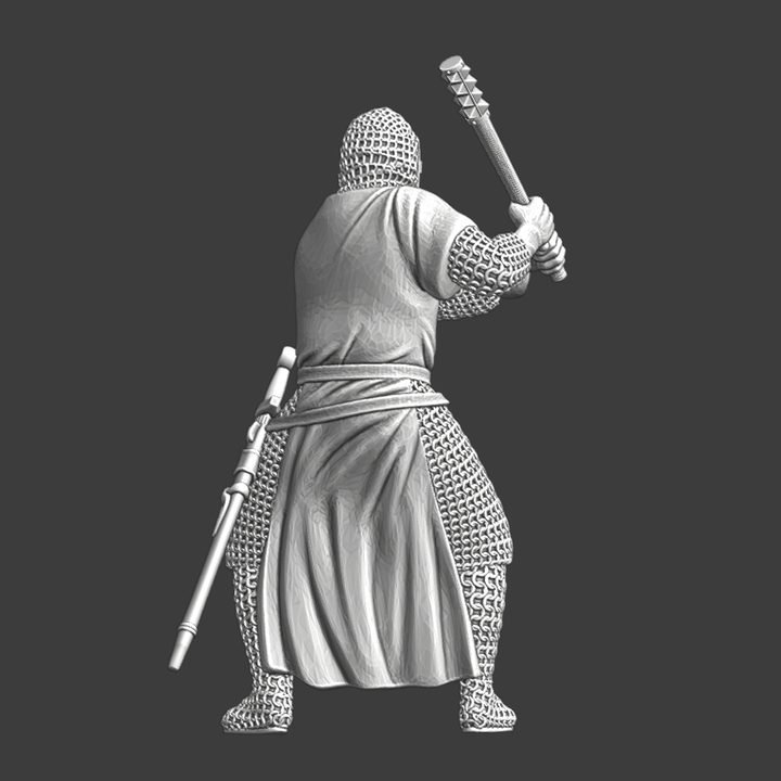 Saint Lazarus Order knight in combat.