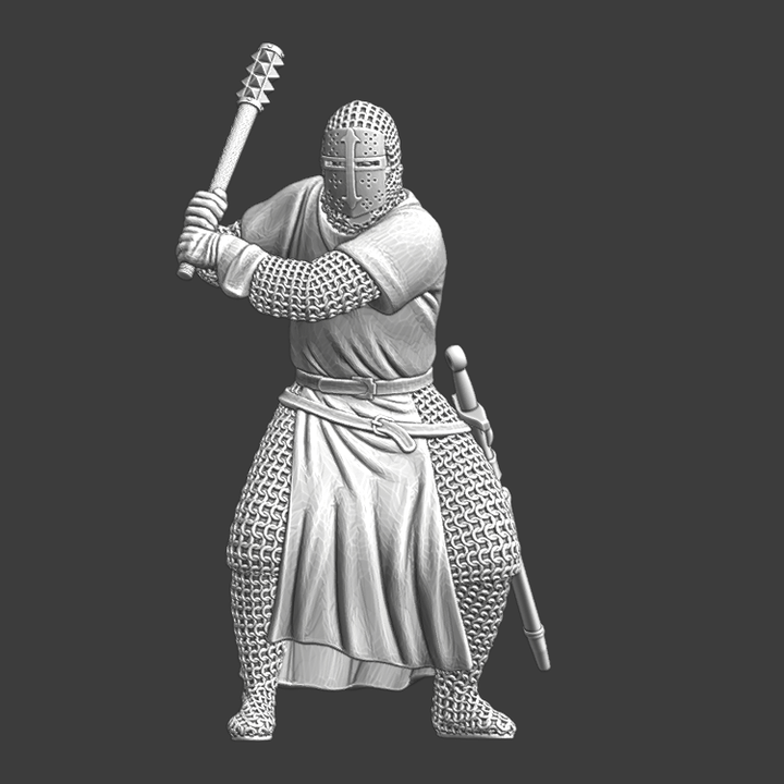 Saint Lazarus Order knight in combat.