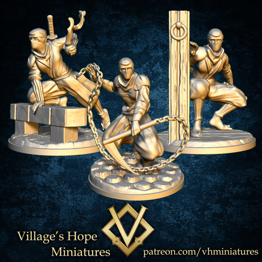 Ninja Squad by Village's Hope Miniatures