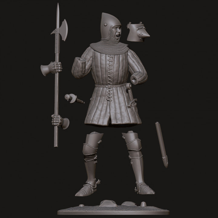 14th Century Knight with Hounskull Helmet by Styriwar