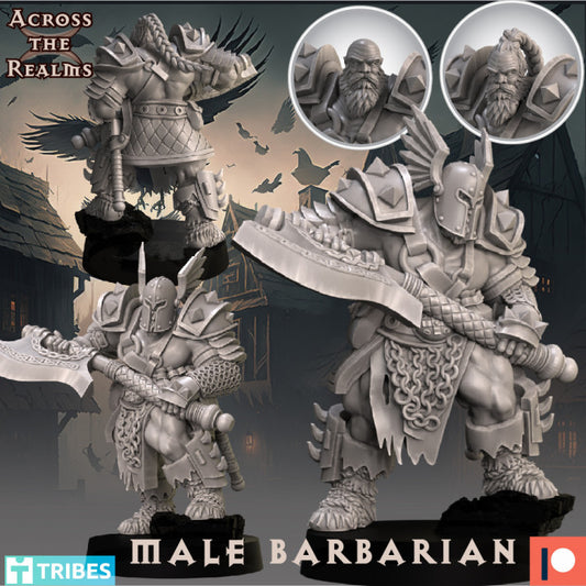 Male Barbarian by Across the Realms