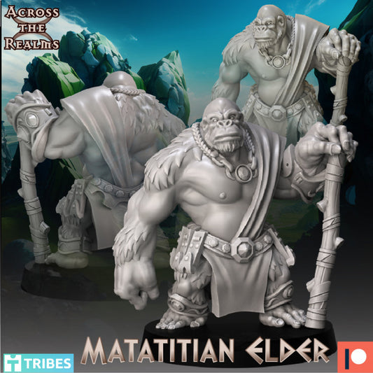 Matatitian Elder by Across the Realms