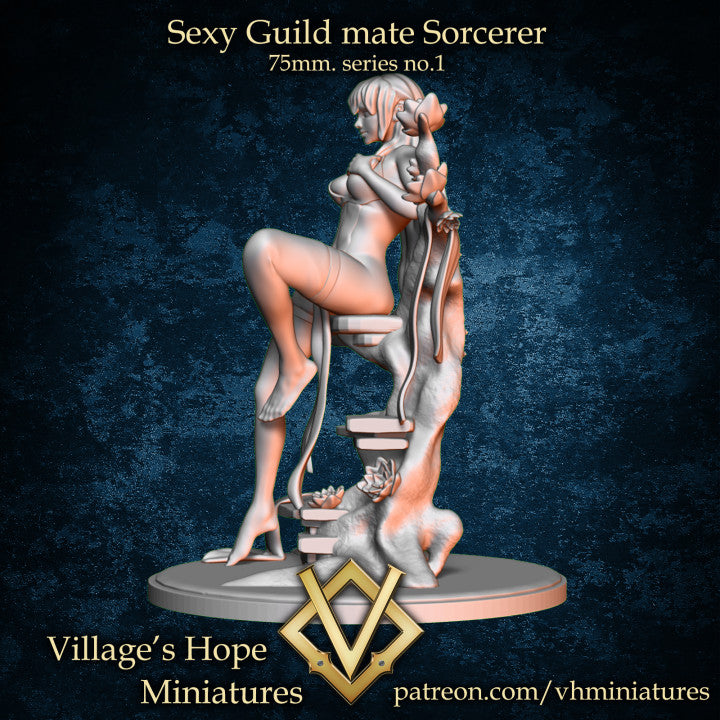 Sexy Guild Mate Series No.1 Sorcerer by Village's Hope Miniatures