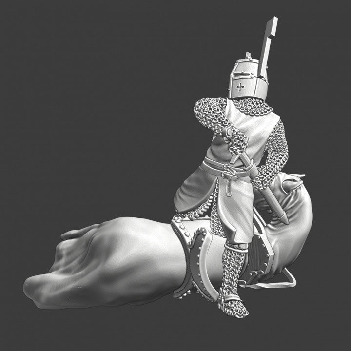 Medieval knight with wounded horse