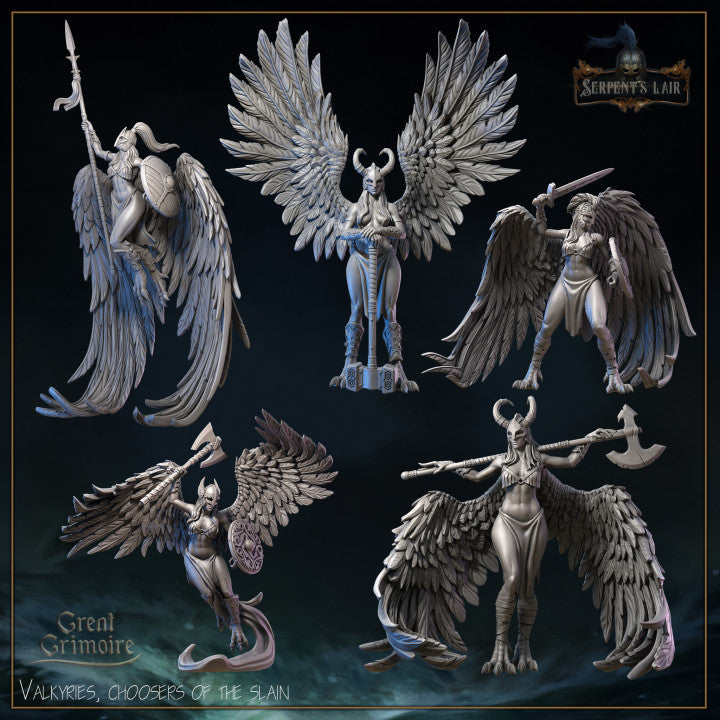 Valkyries, choosers of the slain by Great Grimoire – Studio Historia