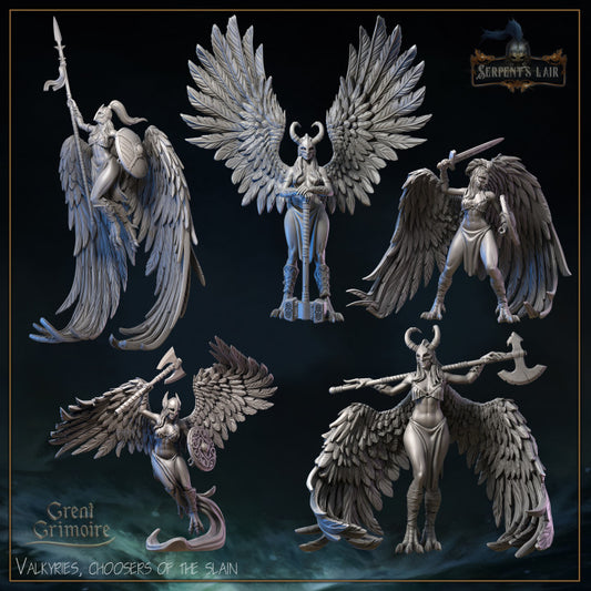 Valkyries, choosers of the slain by Great Grimoire