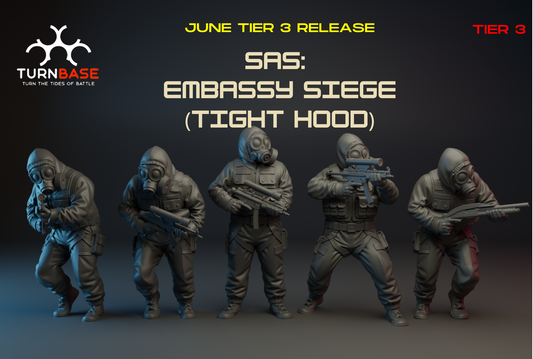 SAS Embassy Siege by Turn BaseMiniatures