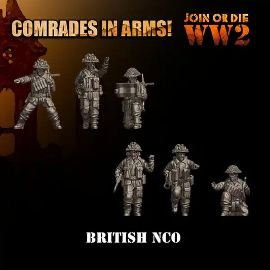 British Army NCO by 3D Breed Miniatures