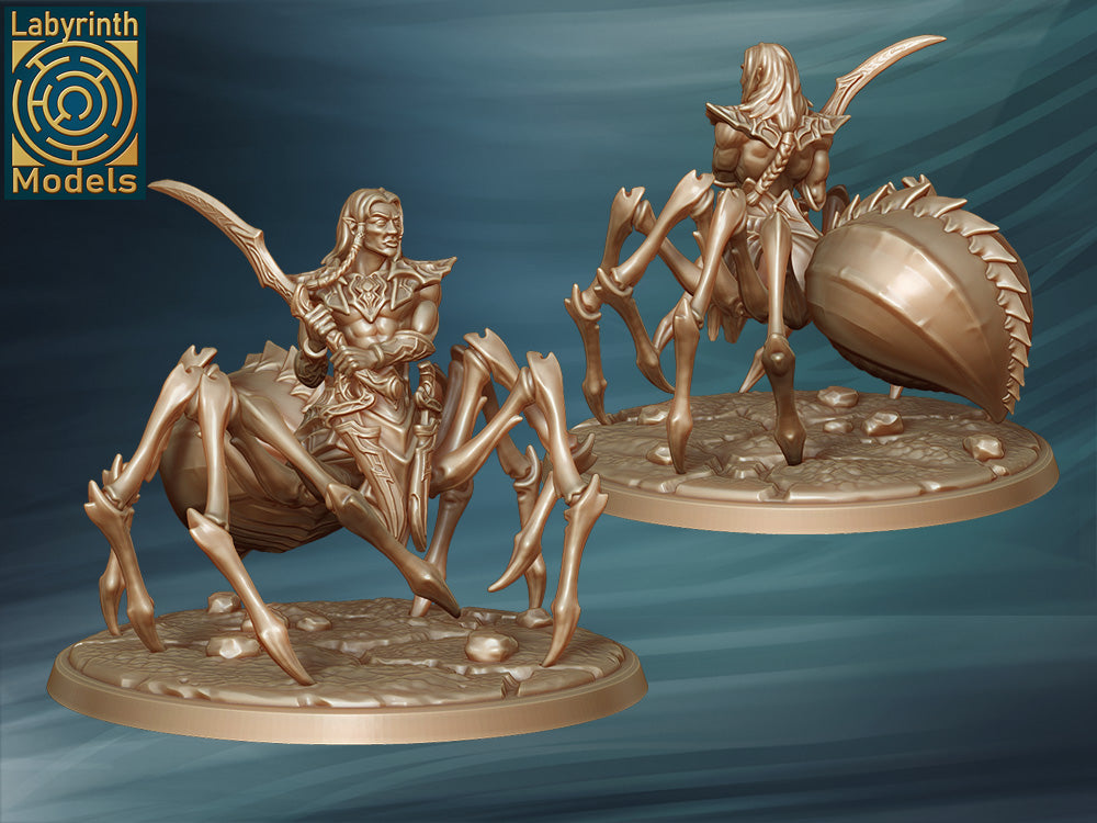 Dark Elf Blessed Champion by Labyrinth Models – Studio Historia