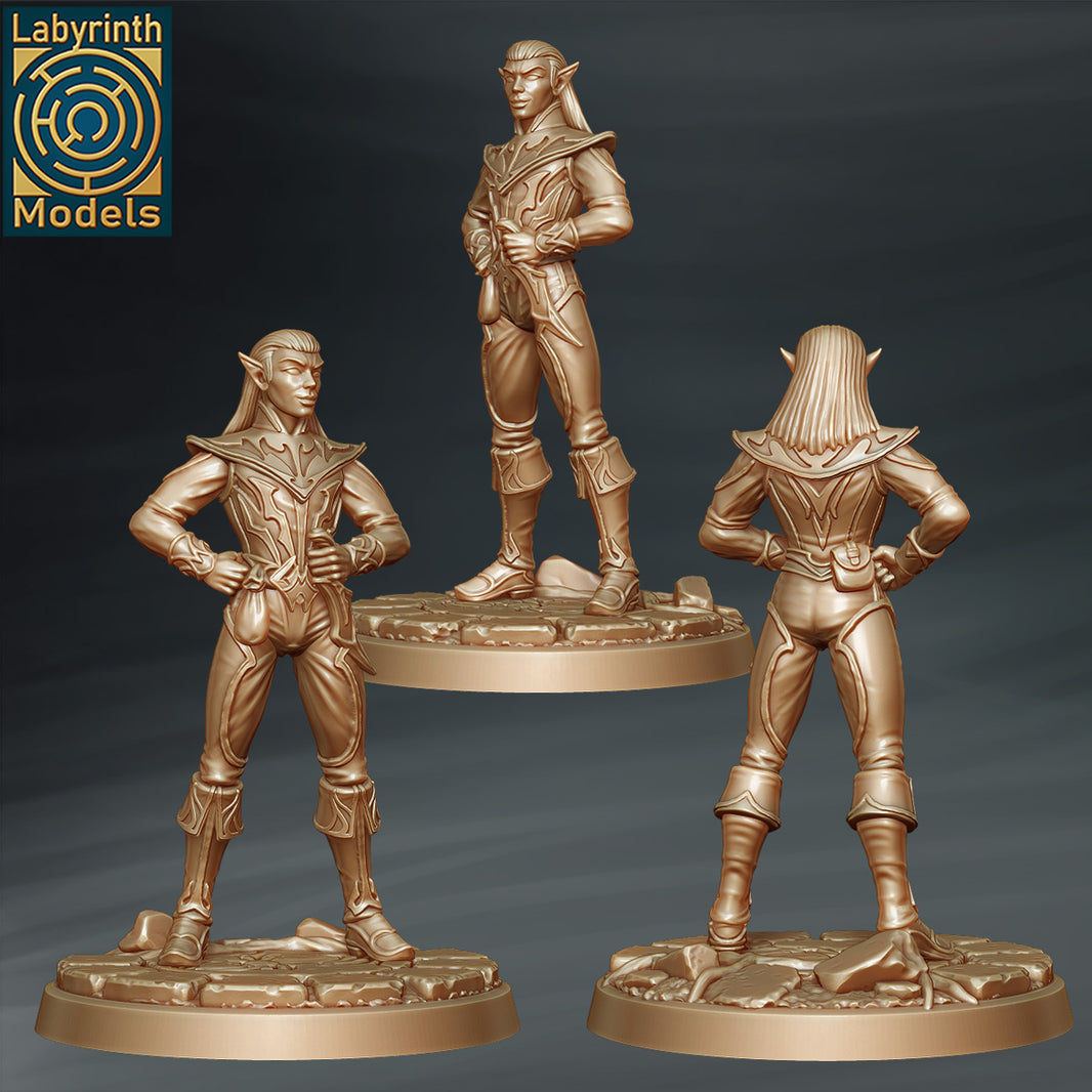 Labyrinth Models Dark Elves – Studio Historia