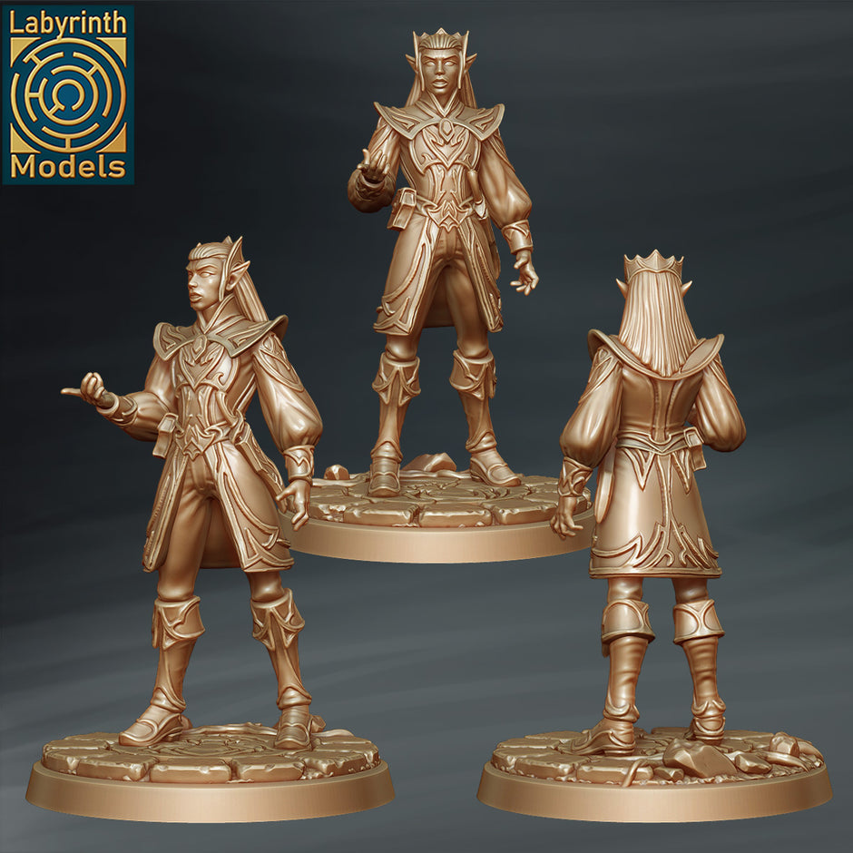 Labyrinth Models Dark Elves – Studio Historia