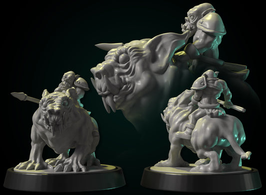 Orc Rider Set by DDF Miniatures and Models