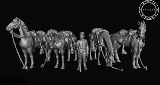 Union Horse Handler and Horses.