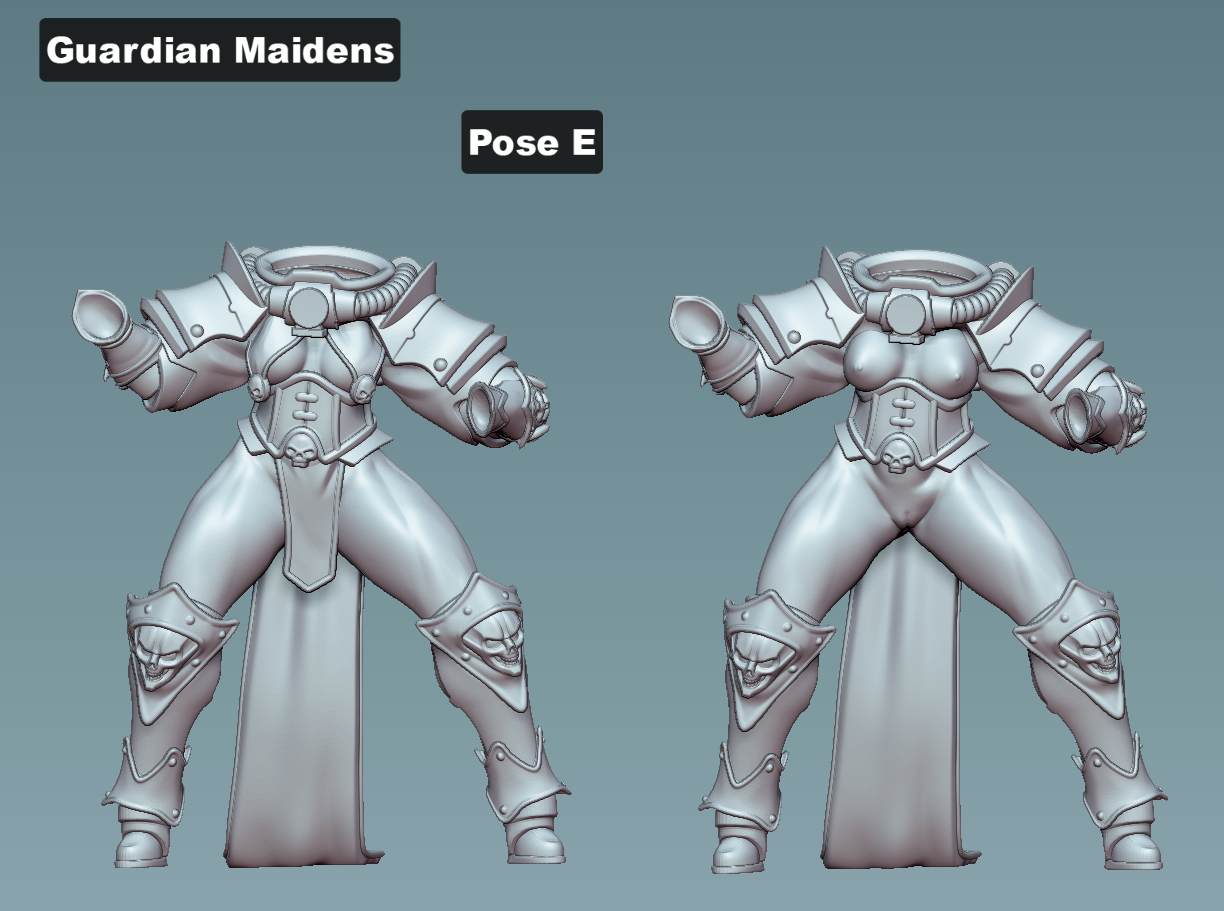 Guardian Maidens - Siblings of Combat by Gaz Minis