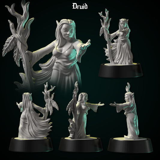 Druid by DDF Miniatures and Models