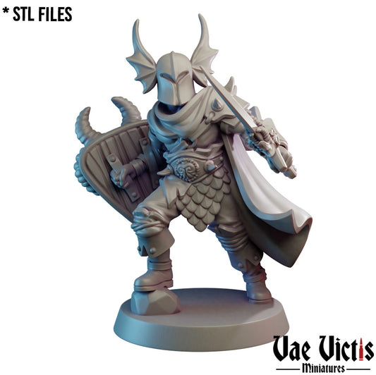 The Evil Warrior by Vae Victis Miniatures