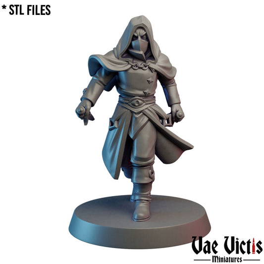 Dark Rogue by Vae Victis Miniatures