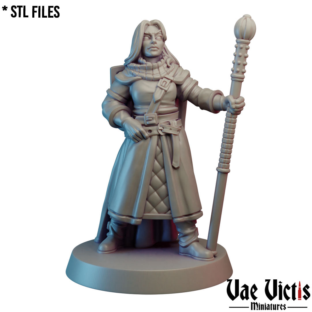 The Lawful Hero by Vae Victis Miniatures