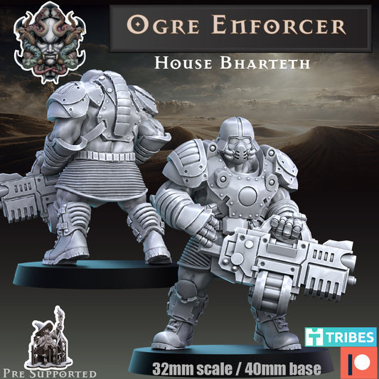 Ogre Enforcer by Across the Realms