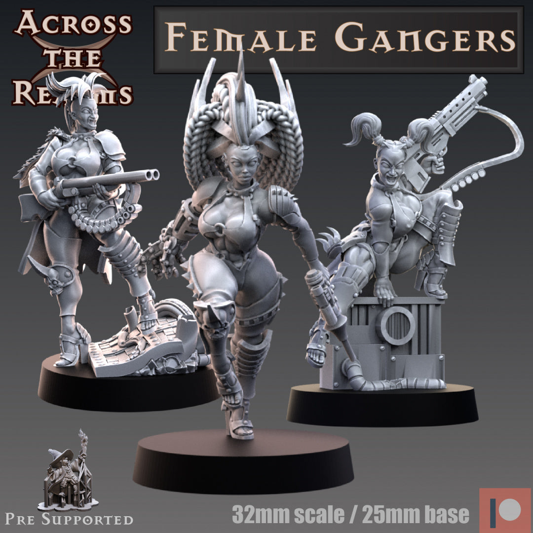 Female Gangers (Modular) by Across the Realms