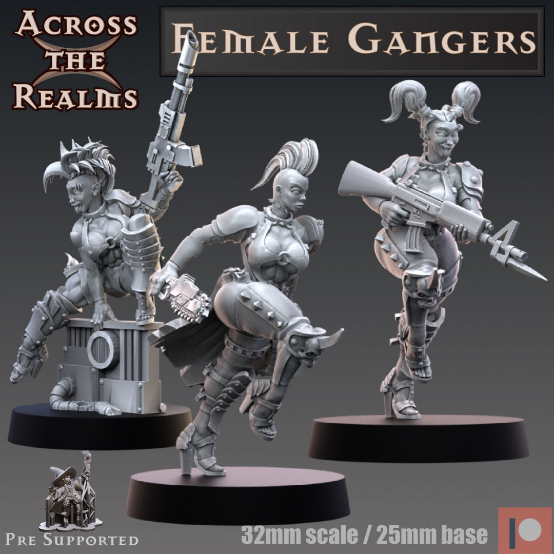 Female Gangers (Modular) by Across the Realms