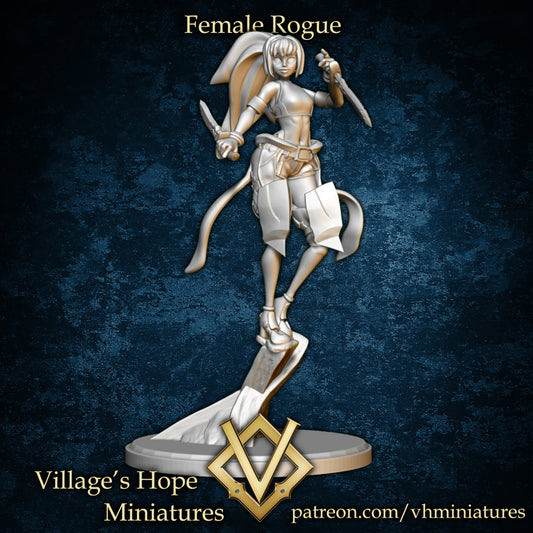 Female Rogue by Village's Hope Miniatures