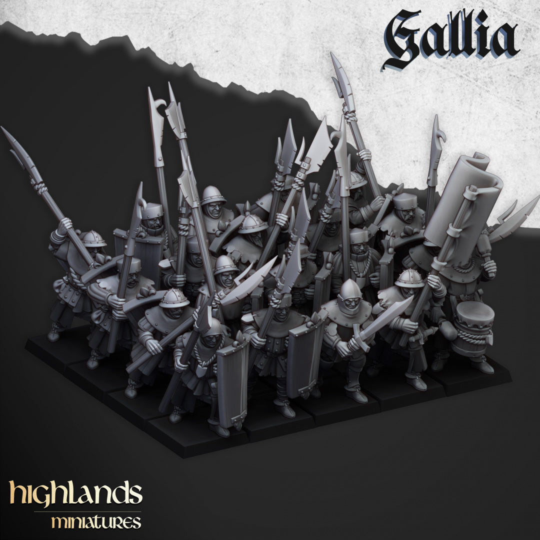 Gallia Men at Arms by Highlands Miniatures