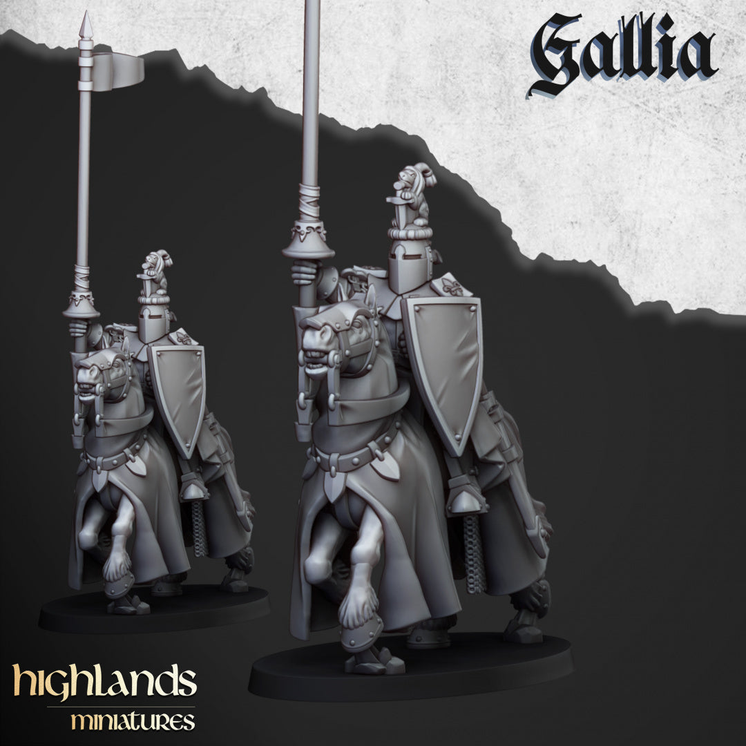 Knights of Gallia by Highlands Miniatures