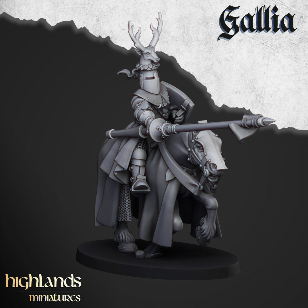 Knights of Gallia by Highlands Miniatures
