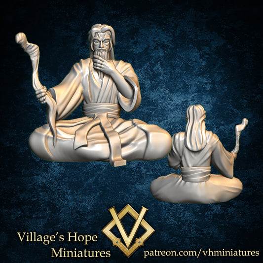 Wuxia Old Cultivator Expert by Village's Hope Miniatures