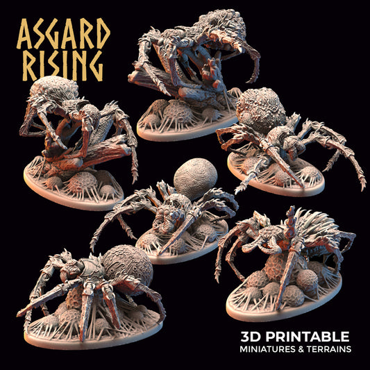 Forest Spiders by Asgard Rising