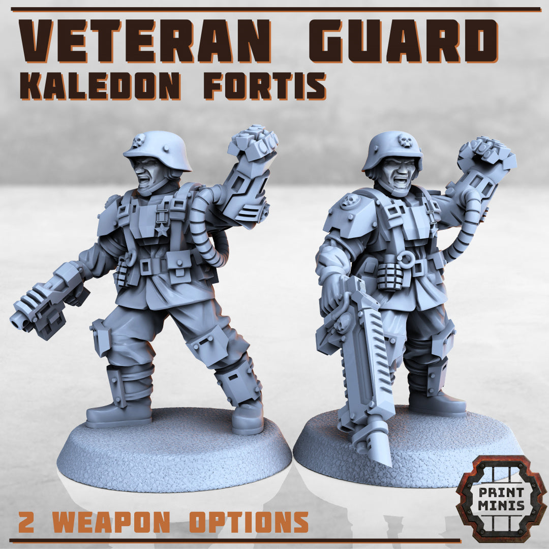 Kaledon Light Infantry Strike Team