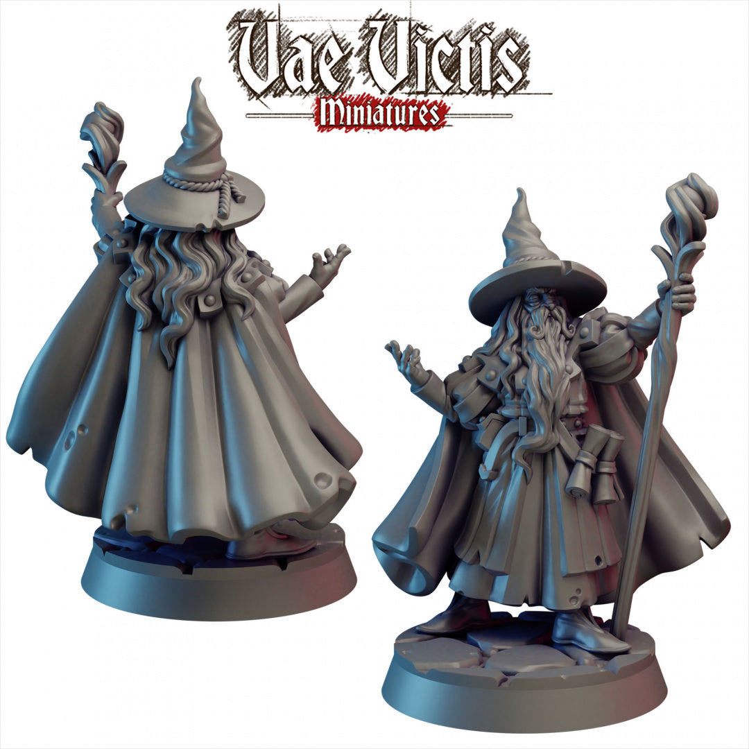 Wizard II by Vae Victis Miniatures